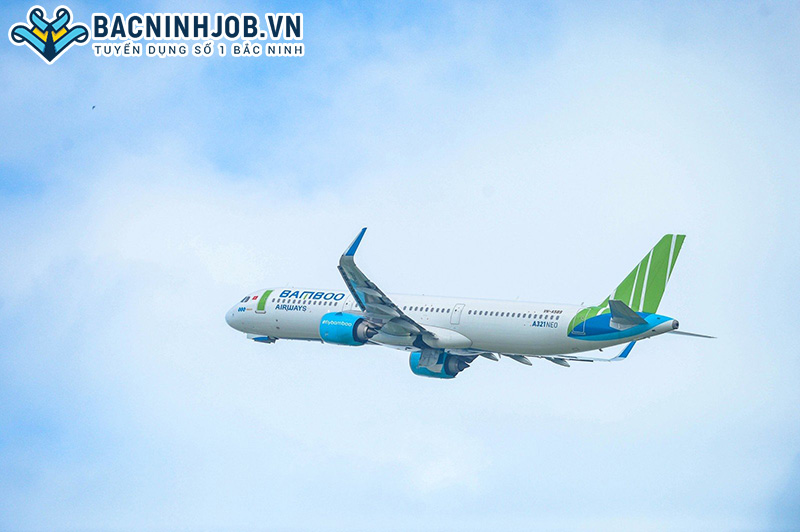 Tiếp viên hàng không Bamboo tuyển dụng tại Bắc Ninh